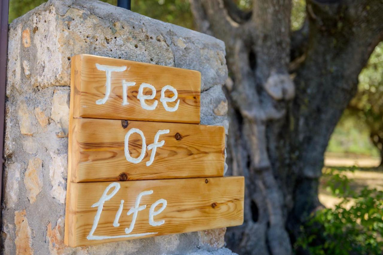 Willa Tree Of Life Valeriános Zewnętrze zdjęcie